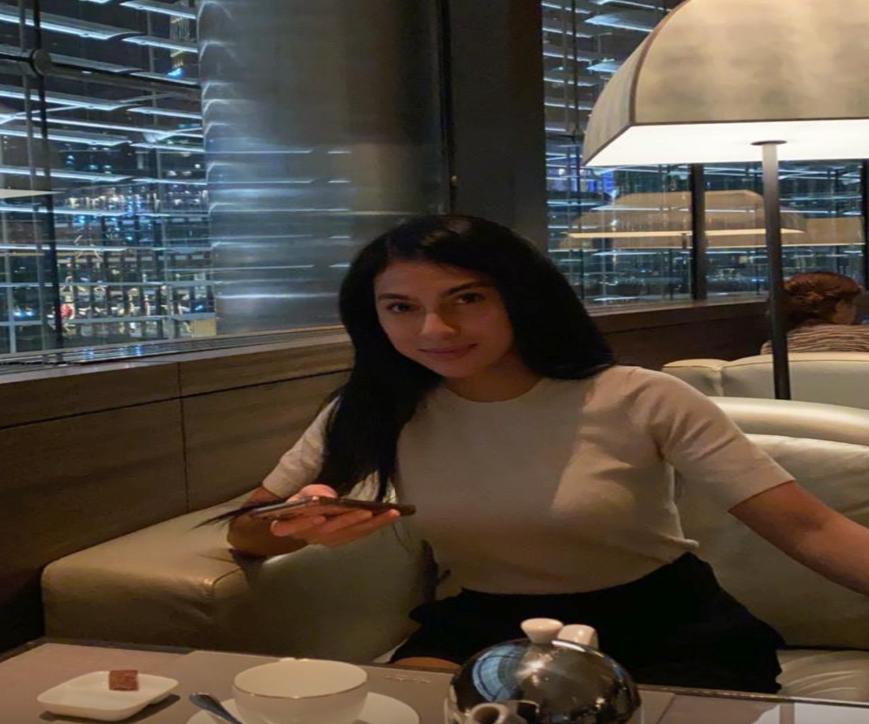 Setareh Heshmat: Strategies Behind an Alleged UK-Based Money Laundering Network